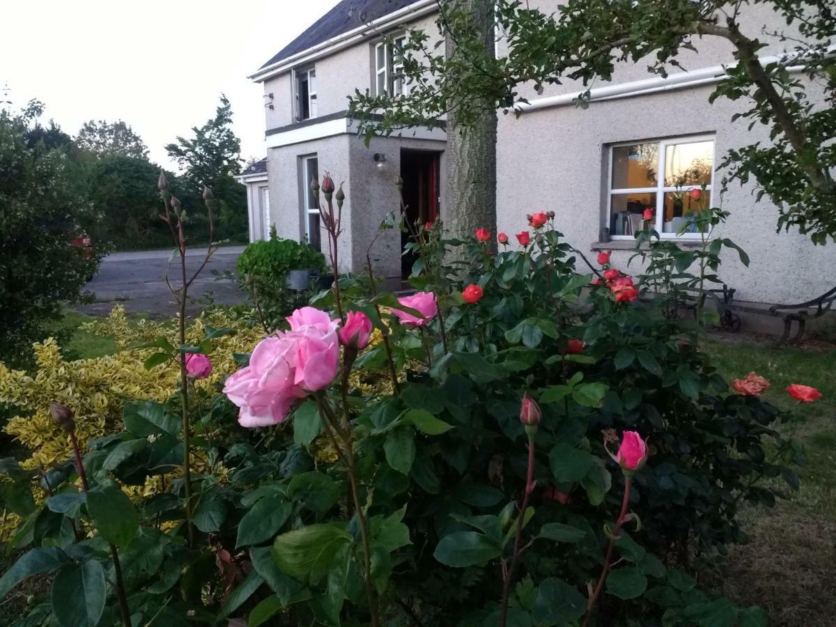 Lisieux House On Lough Neagh Bed & Breakfast Aghalee Bagian luar foto