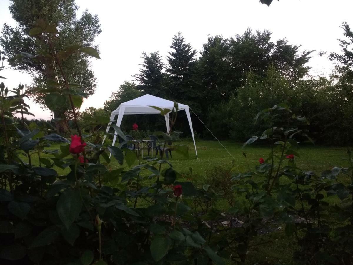 Lisieux House On Lough Neagh Bed & Breakfast Aghalee Bagian luar foto